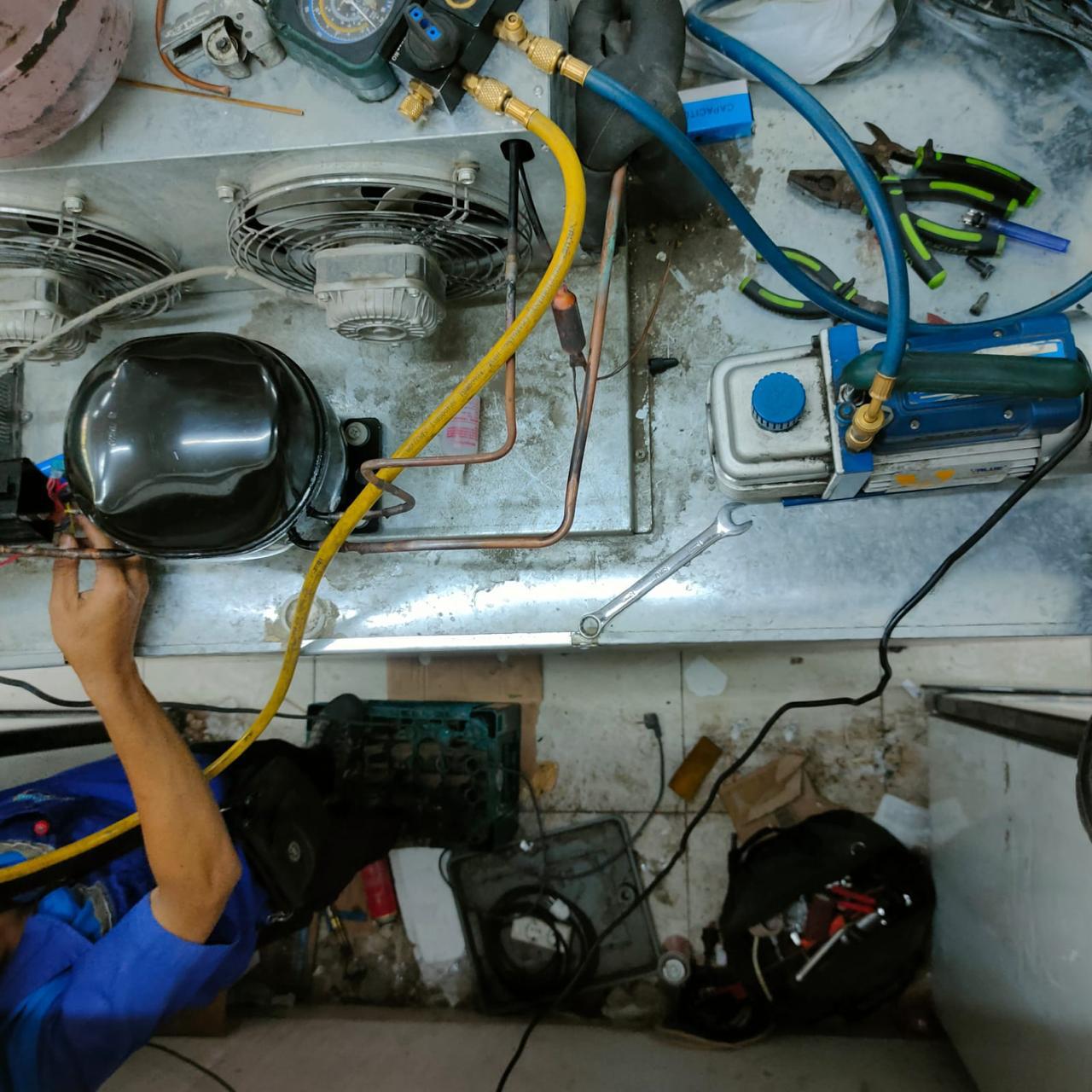 Teknisi Fortune Full Solusi sedang memperbaiki freezer